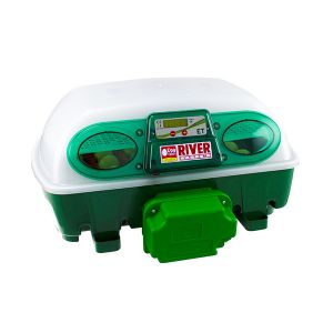 Couveuse Incubateur 12 œufs Automatique Incubateur Automatique avec à Affichage numérique et contrôle Efficace et Intelligent de la température et de lhumidité 