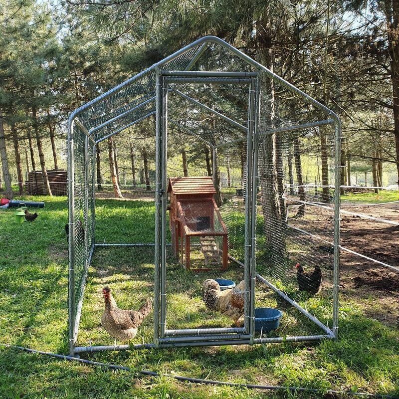 Les avantages d'un enclos à poules - Chemin des Poulaillers